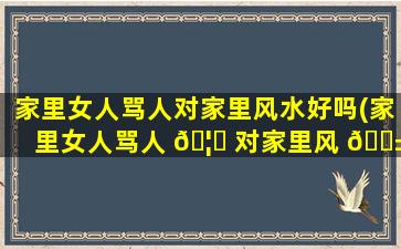 家里女人骂人对家里风水好吗(家里女人骂人 🦈 对家里风 🐱 水好吗有影响吗)